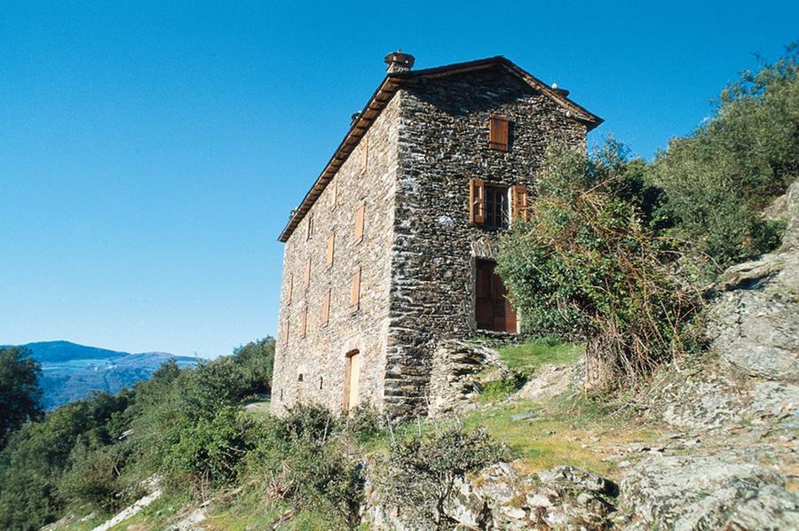 SENTIER DE BIASSES AU CŒUR DE LA VALLÉE FRANÇAISE Molezon Occitanie
