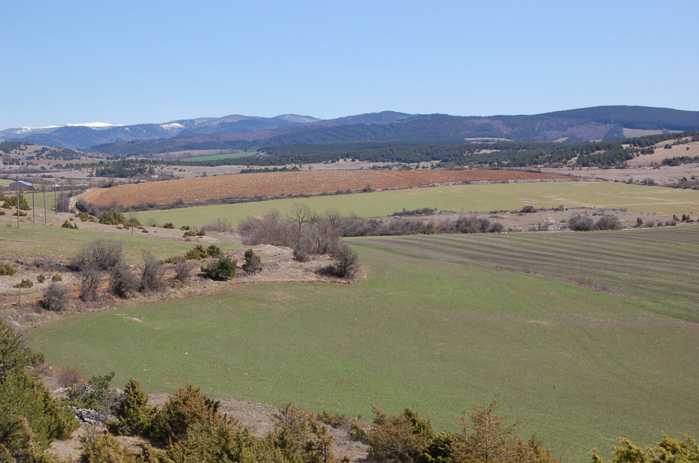DARGILAN SUR LE CAUSSE NOIR (COTATION BLEU) Meyrueis Occitanie