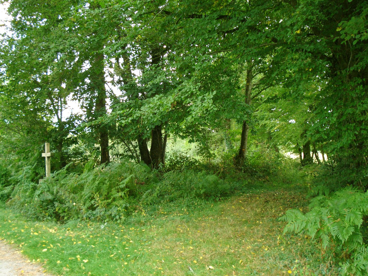 Itinéraire de la Croix Robert Saint-Georges-les-Landes Nouvelle-Aquitaine