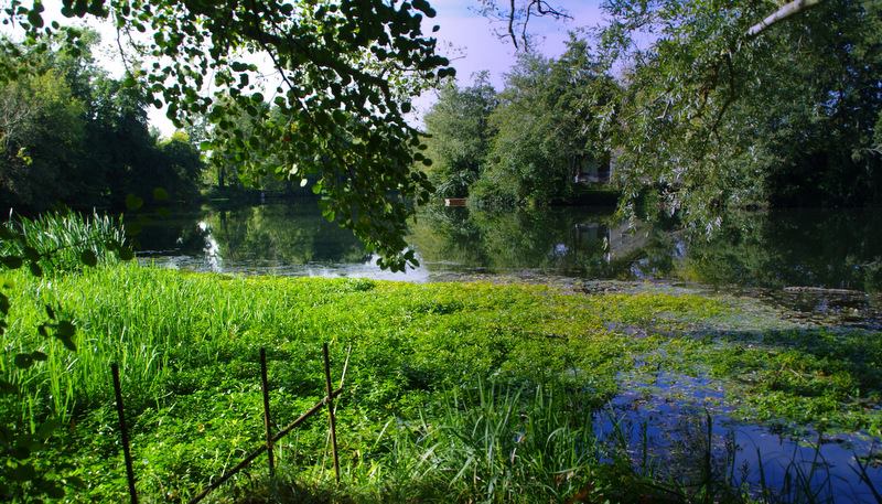Boucle de Janguet Saint-Médard-de-Guizières Nouvelle-Aquitaine
