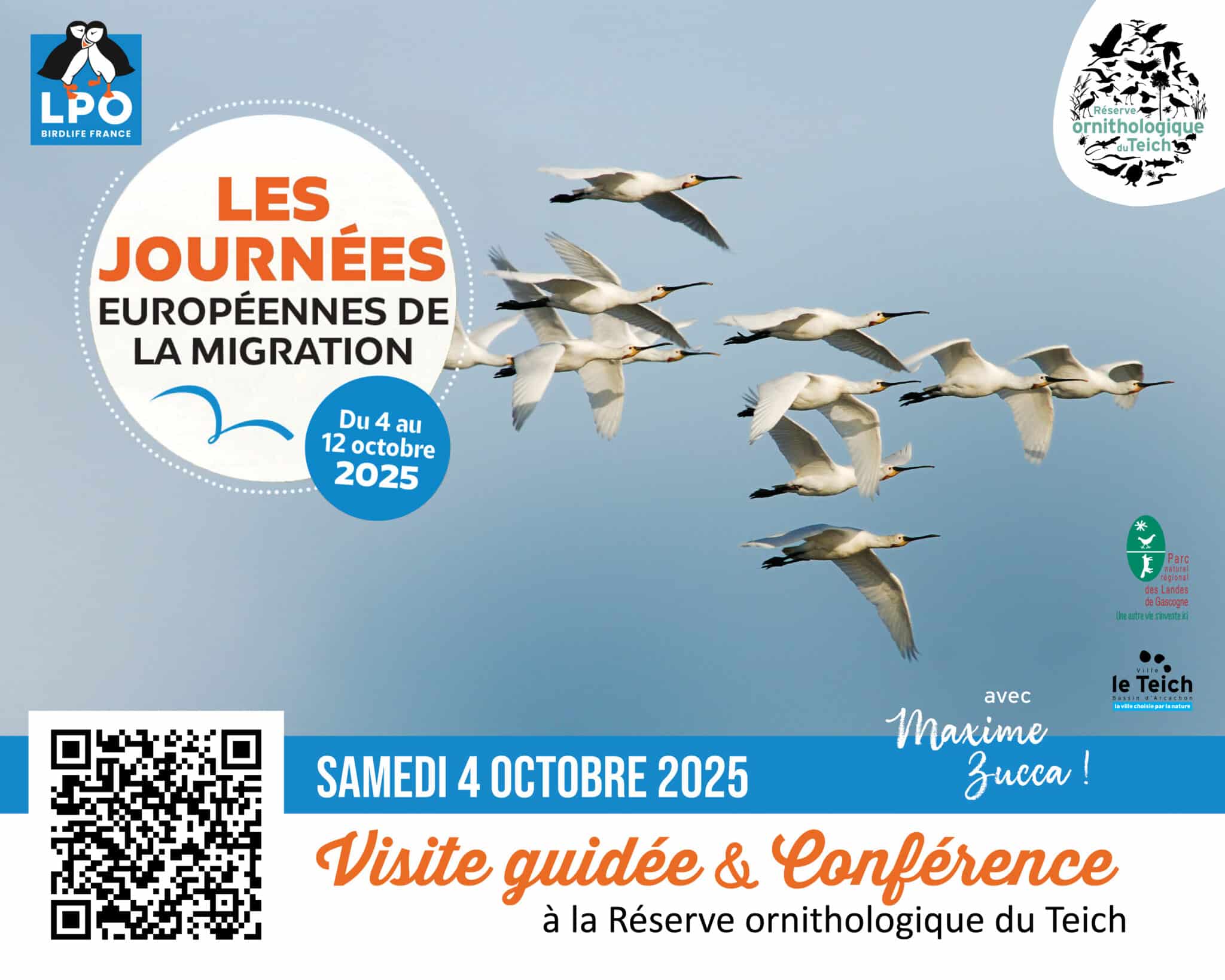Journées européennes de la migration visite guidée et conférence à la Réserve ornithologique du Teich !