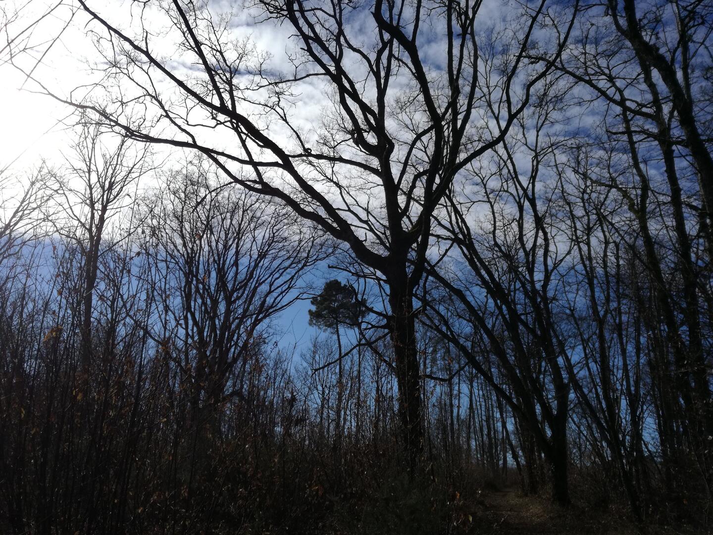 Boucle de Pechorel n° 11 /Journiac Journiac Nouvelle-Aquitaine