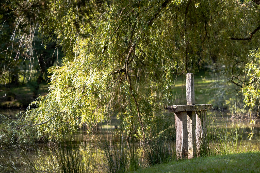 Boucle de la forêt de la Double Montpon-Ménestérol Nouvelle-Aquitaine