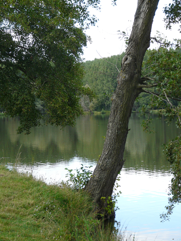 Sentier du plan d'eau de Barjouville Barjouville Centre-Val de Loire