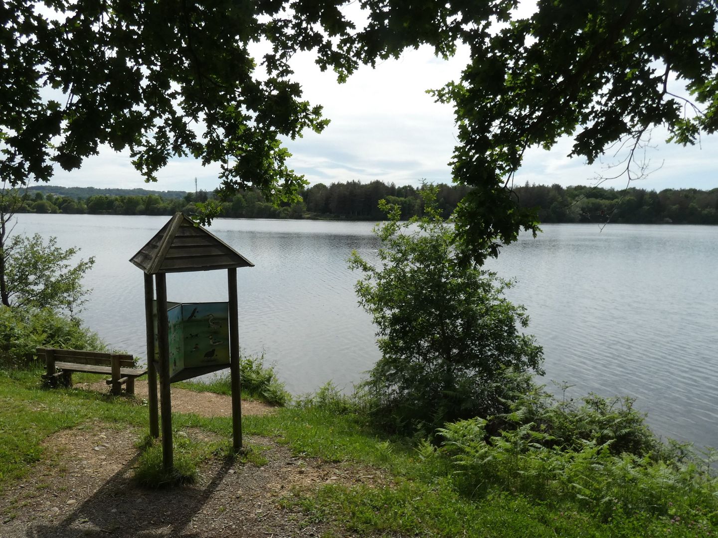 Momas Du Luy à l'Ayguelongue Momas Nouvelle-Aquitaine