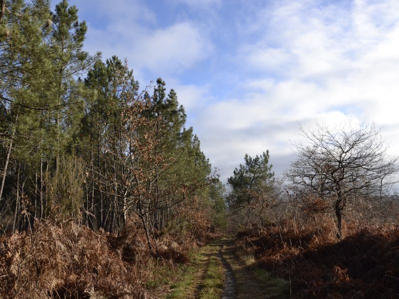 Boucle de Cadane Aillas Nouvelle-Aquitaine
