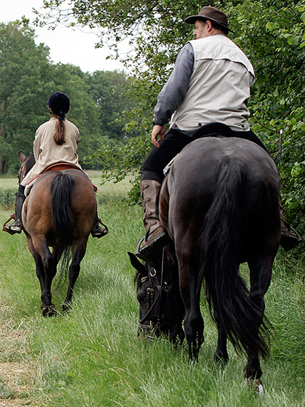 Le bois des Brouillets Montigny-sur-Avre Centre-Val de Loire Le bois des Brouillets Montigny-sur-Avre Centre-Val de Loire