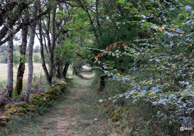 Autour du hameau du Gazy Chanac Occitanie