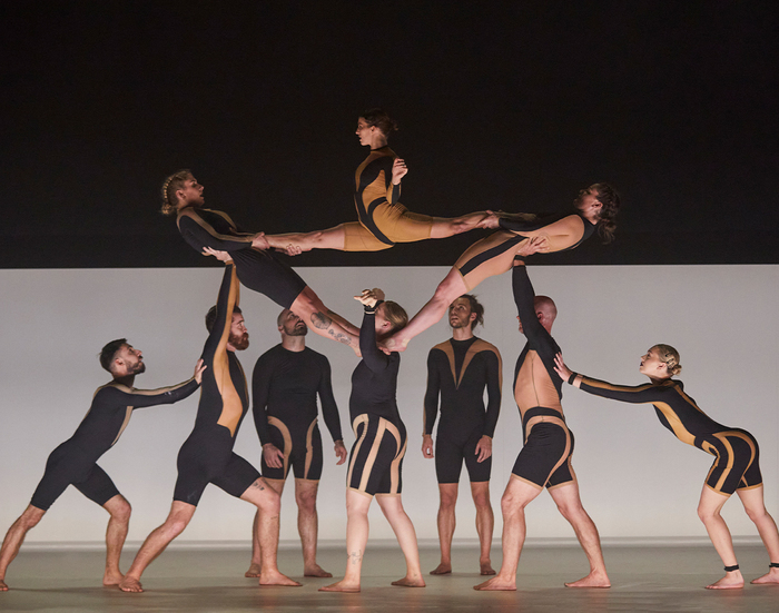 Circa - Wolf Le Pin Galant Mérignac