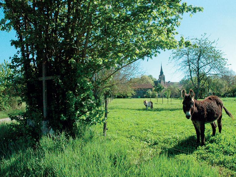 Boucle de Cantelouve Saint Aubin de lanquais Saint-Aubin-de-Lanquais Nouvelle-Aquitaine Boucle de Cantelouve Saint Aubin de lanquais Saint-Aubin-de-Lanquais Nouvelle-Aquitaine