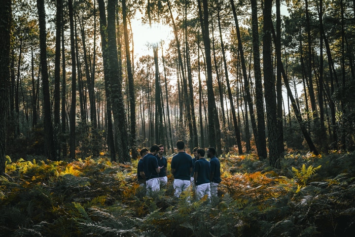 BOULEVARD DES AIRS Le Rocher de Palmer Cenon