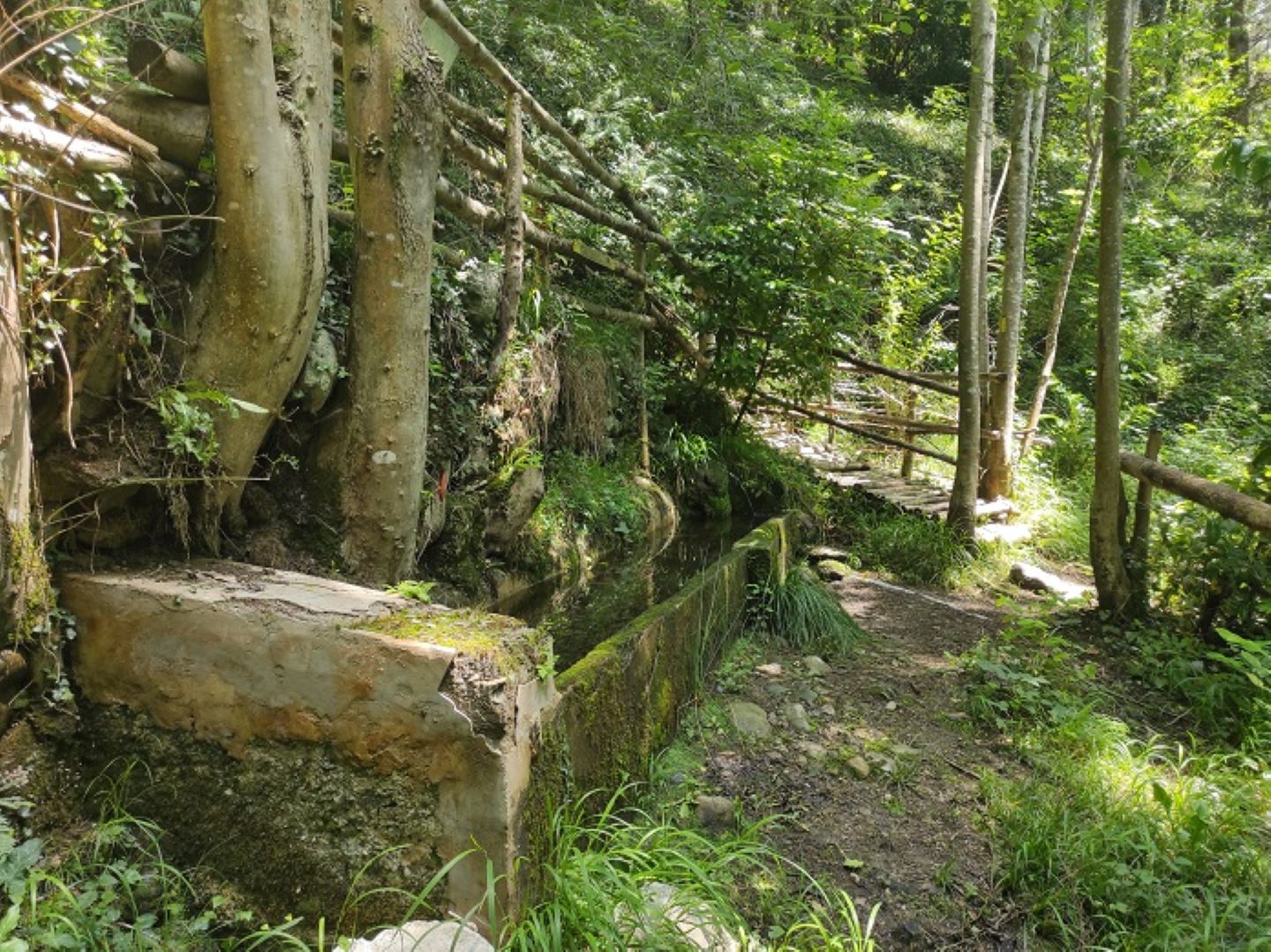 Le tòs de la Courade Bescat Nouvelle-Aquitaine