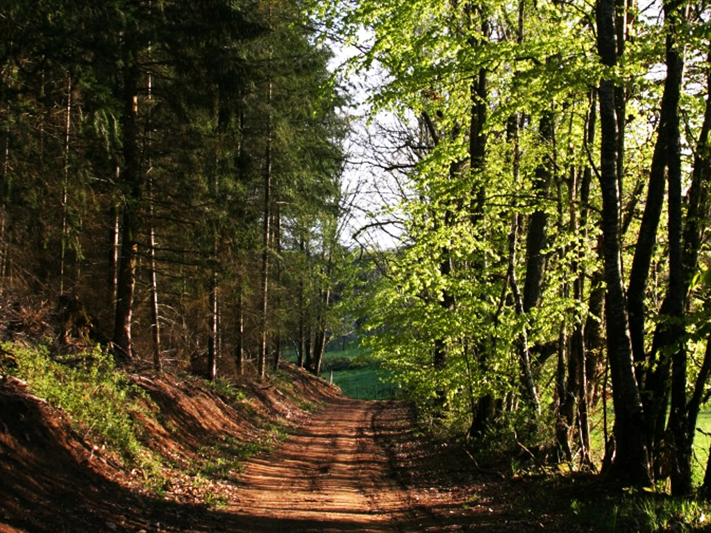 RANDO « Le vallon du Tranloup » Blessac Nouvelle-Aquitaine RANDO "Le vallon du Tranloup" Blessac Nouvelle-Aquitaine