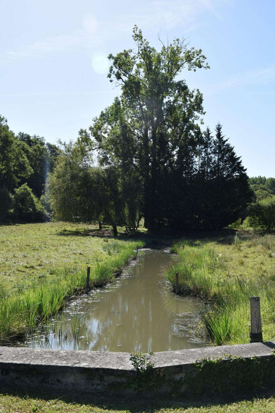 Boucle du BosVert Lempzours Nouvelle-Aquitaine
