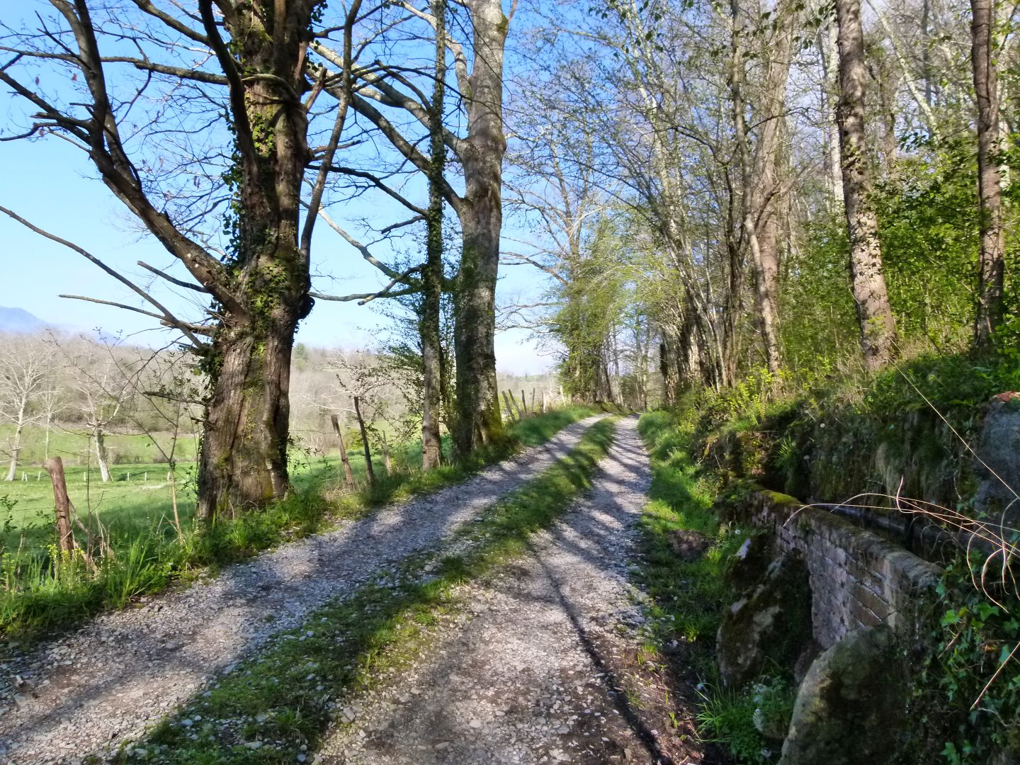 Les buis Sainte-Colome Nouvelle-Aquitaine