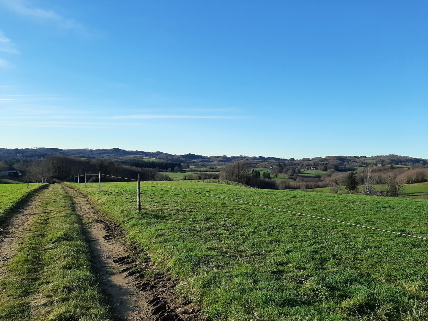 Les chemins de la Coquette de Meilhards Meilhards Nouvelle-Aquitaine