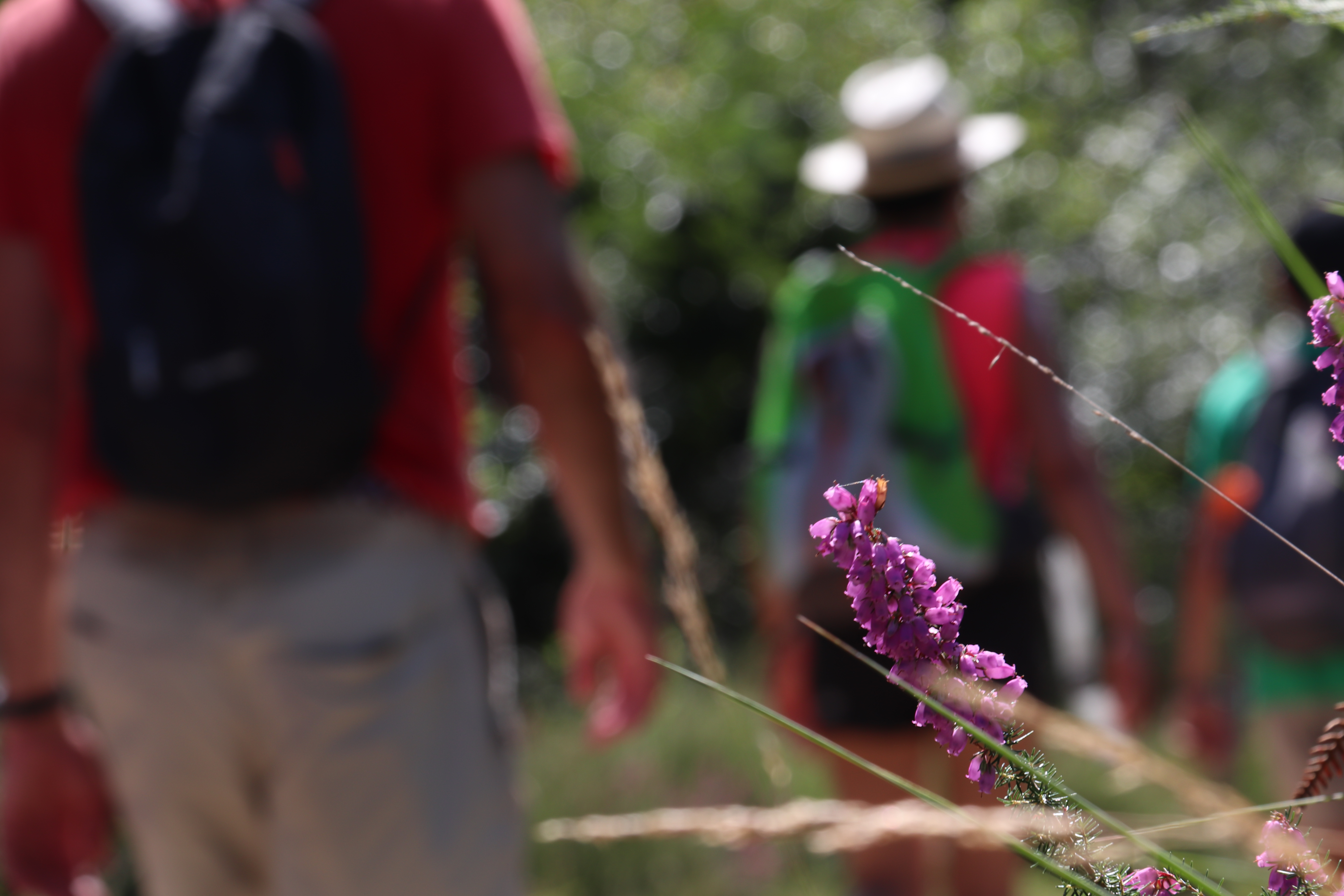 Les Fruits Lay-Lamidou Nouvelle-Aquitaine