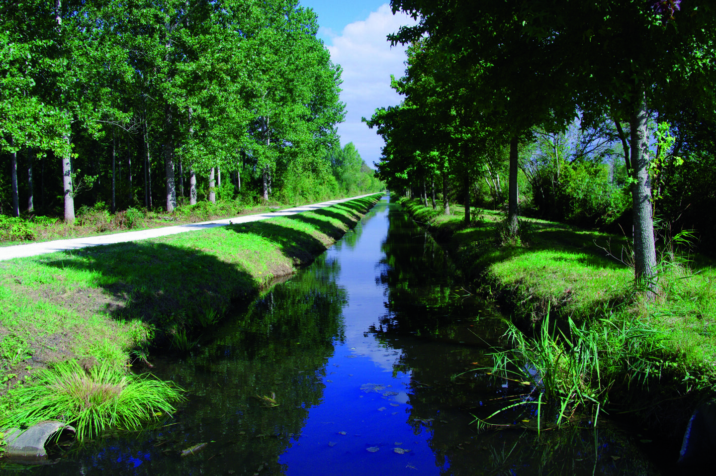 Du fil de l'eau aux Châteaux Saint-Laurent du Médoc Saint-Laurent-Médoc Nouvelle-Aquitaine