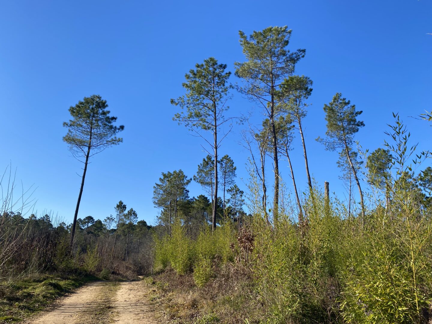 Circuit des Trois Communes Frayssinet-le-Gélat Occitanie