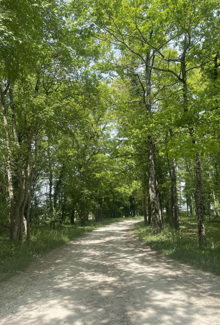Le Chemin du Plessis Levet Centre-Val de Loire Le Chemin du Plessis Levet Centre-Val de Loire