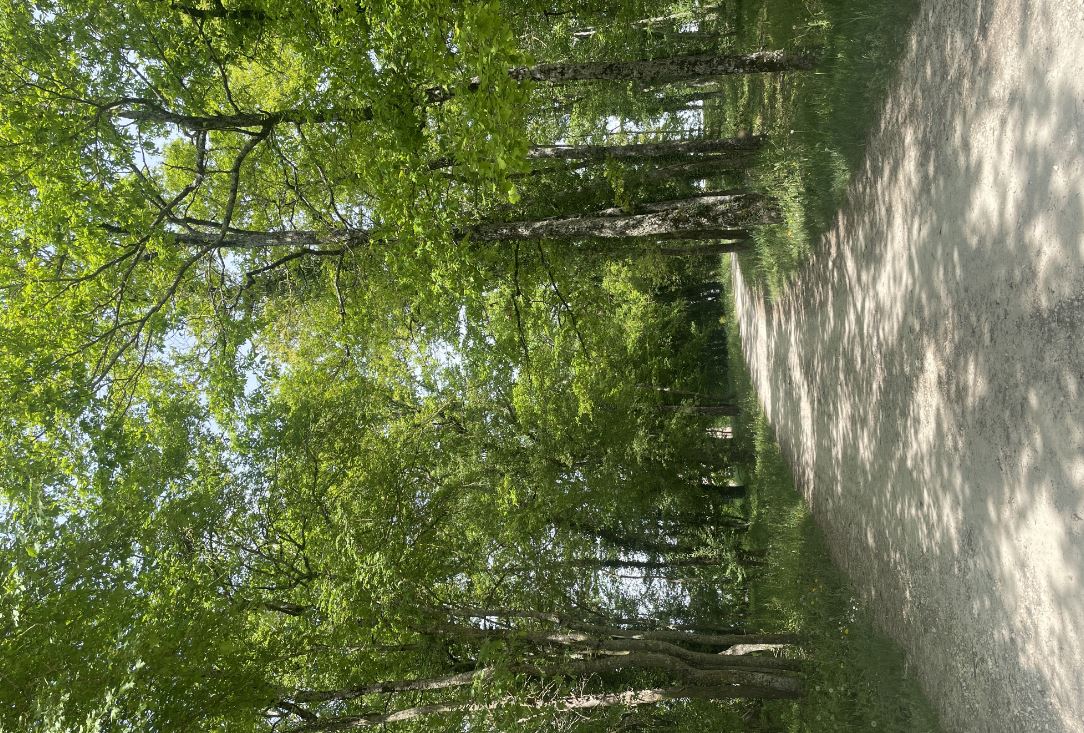 Le Chemin du Plessis Levet Centre-Val de Loire