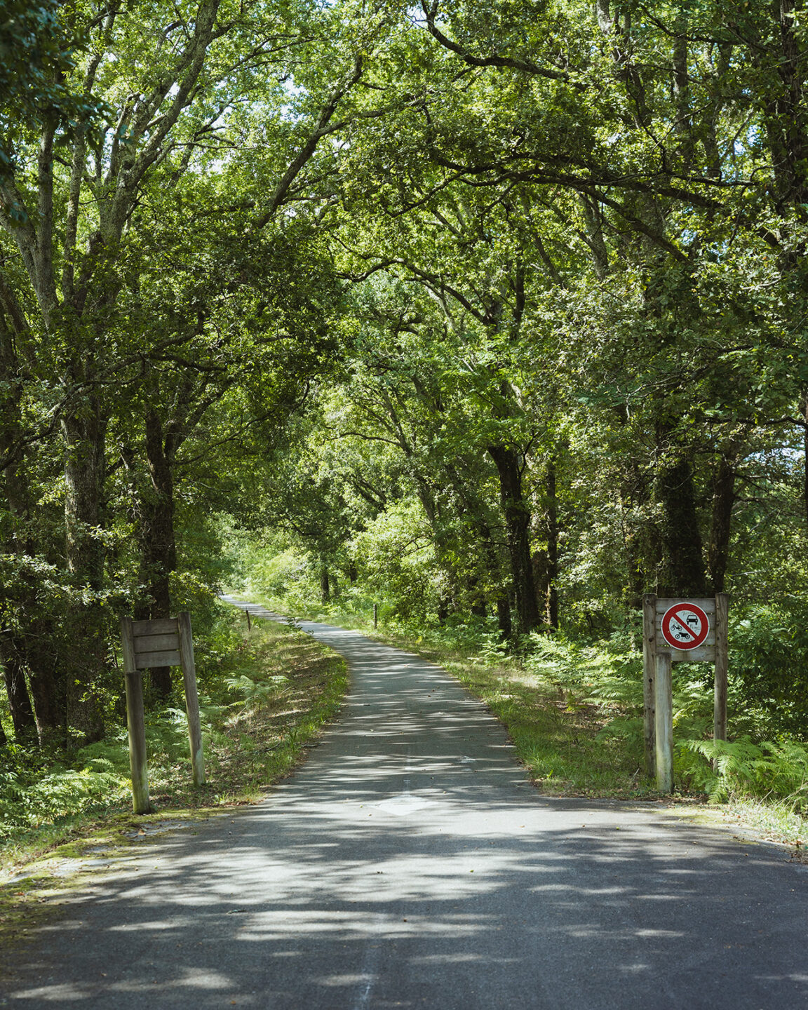 Piste cyclable du Cap de l'Homy / Piste Cyclable du Vignac Lit-et-Mixe Nouvelle-Aquitaine