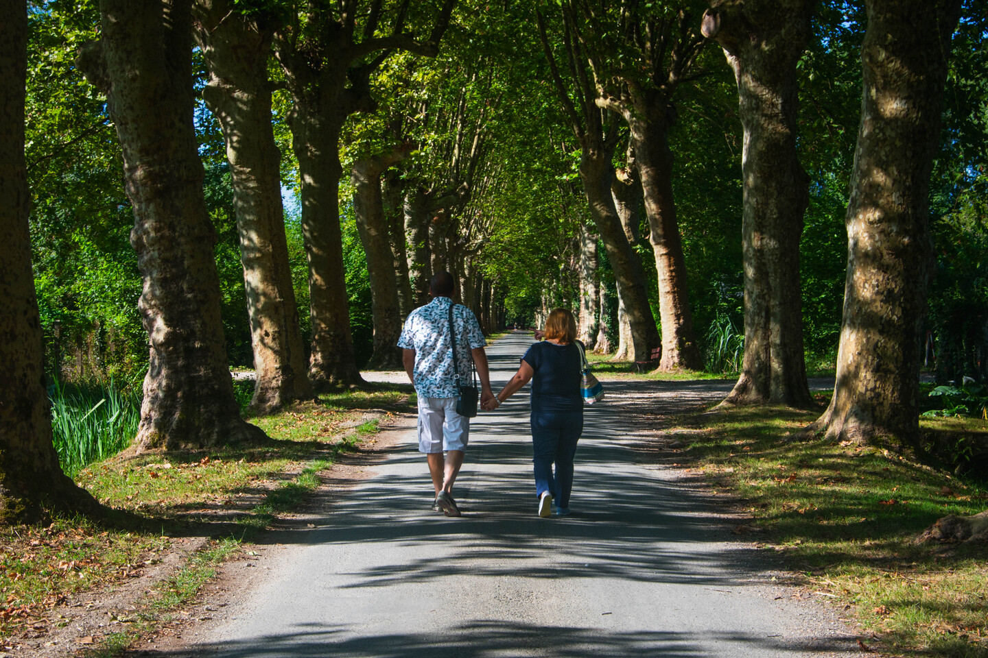 Rando Nounous La balade des lavoirs Lisle Nouvelle-Aquitaine