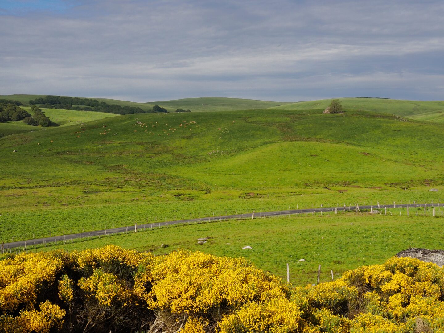 Lou Saltou Les Hermaux Occitanie