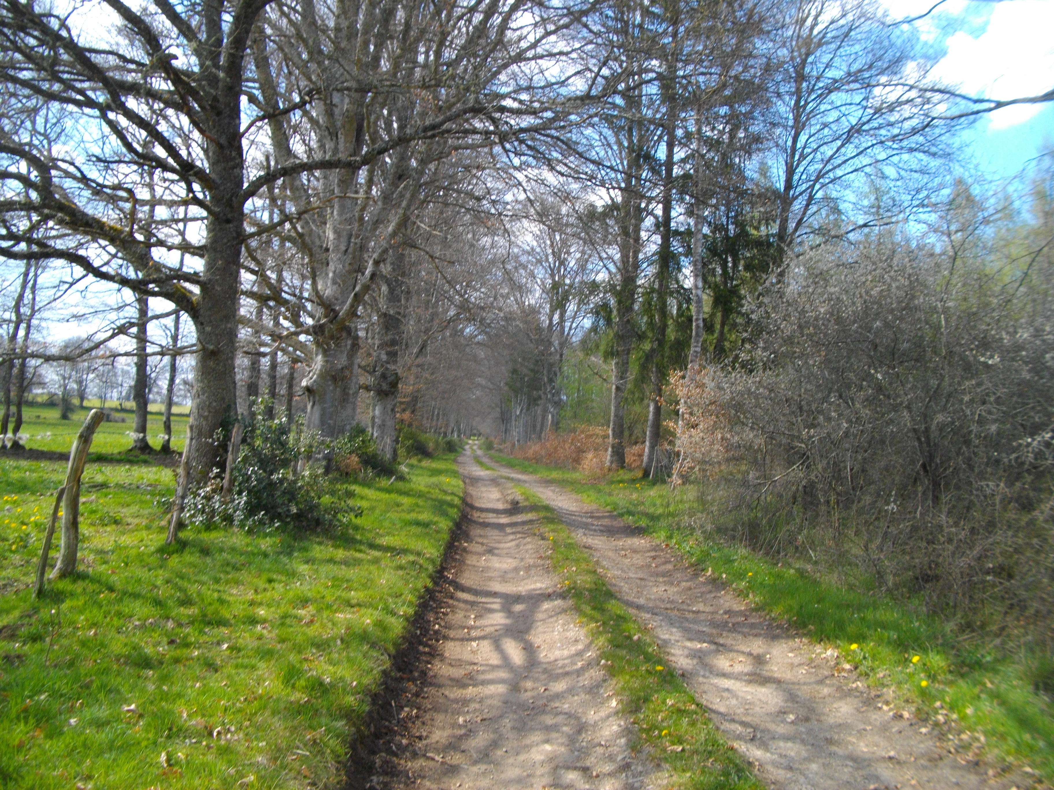 Hautefeuille Track 12 km Saint-Merd-la-Breuille Nouvelle-Aquitaine
