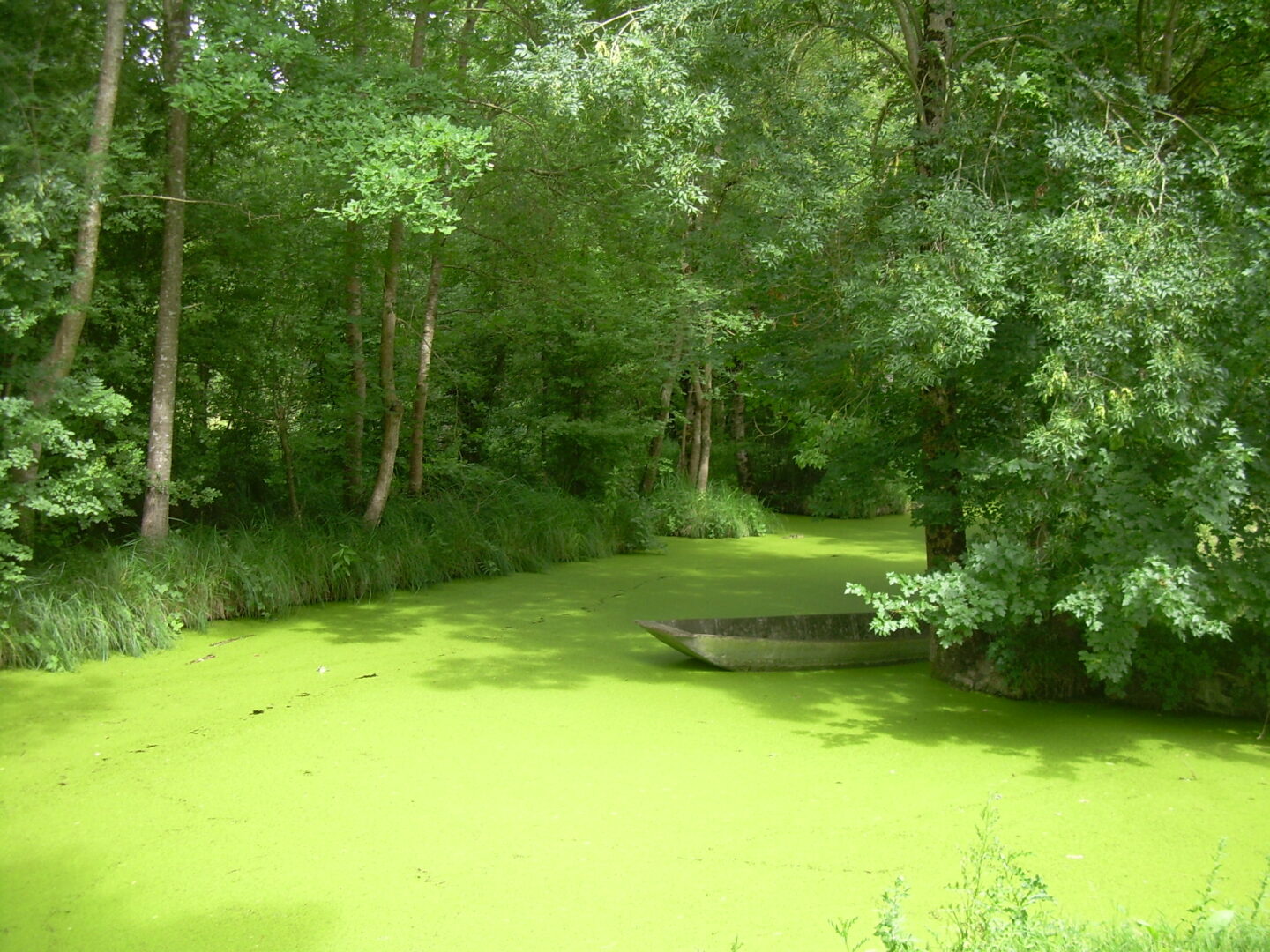 En route pour le Marais à Saint-Georges-de-Rex Saint-Georges-de-Rex Nouvelle-Aquitaine En route pour le Marais à Saint-Georges-de-Rex Saint-Georges-de-Rex Nouvelle-Aquitaine