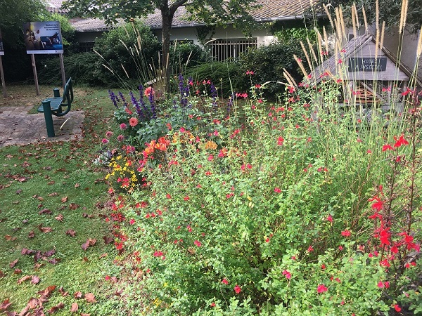 Balade au fil des ans à Lanouaille Lanouaille Nouvelle-Aquitaine