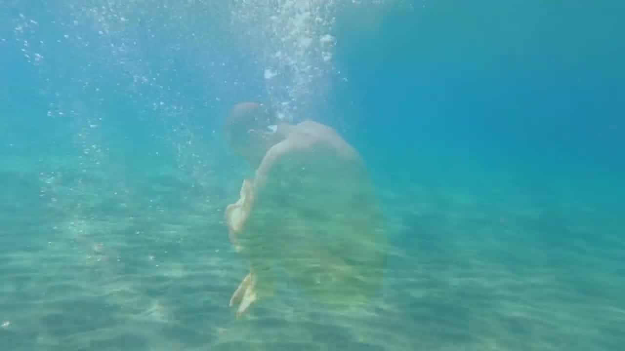 Quebec Montmagny au diapason : le 36e Carrefour mondial de l’accordéon avec Yoanna du 29 au 31 août