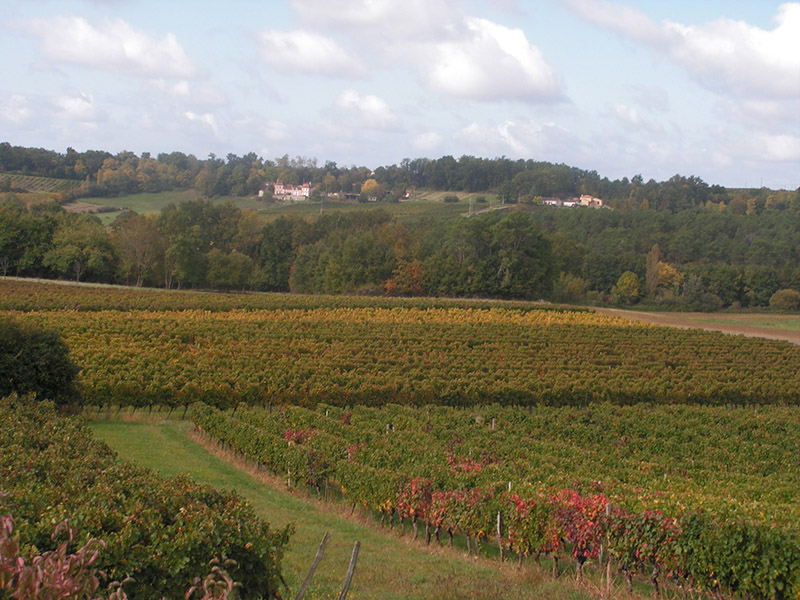 Boucle de randonnée de Montazeau Montazeau Nouvelle-Aquitaine