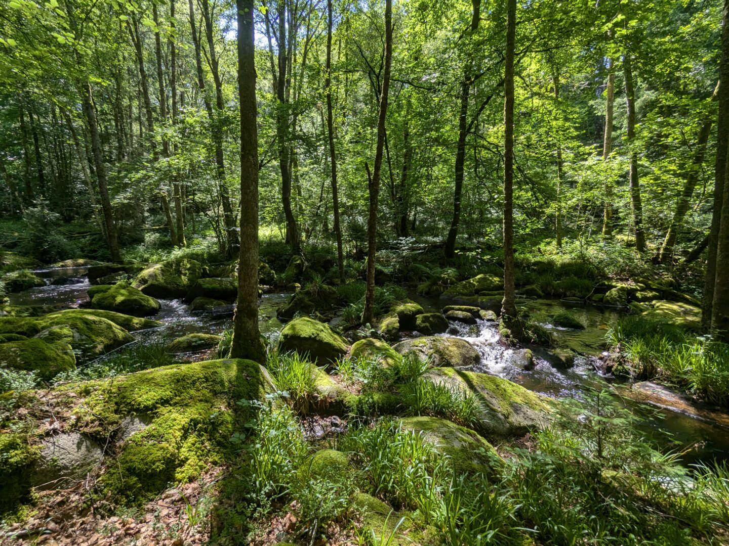 Moulins et Rochers Tarnac Nouvelle-Aquitaine