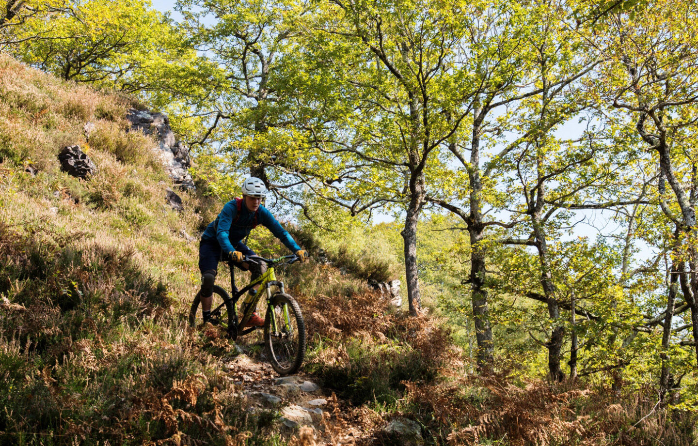 VTT N°31 Tour Bergout Ichantes Jaupins Bedous Nouvelle-Aquitaine
