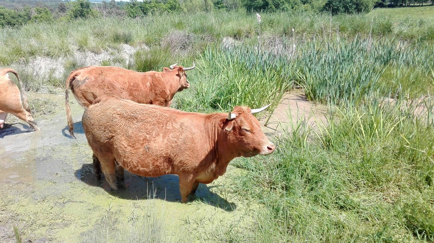 Boucle de La Latière Saint Aulaye-Puymangou Nouvelle-Aquitaine Boucle de La Latière Saint Aulaye-Puymangou Nouvelle-Aquitaine