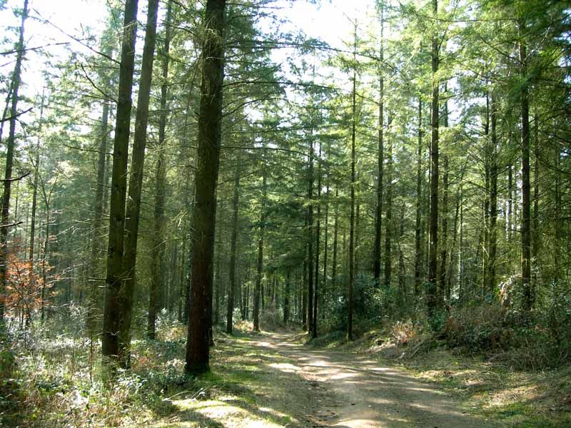 Sentier Douas Vias Neuvic-Entier Nouvelle-Aquitaine