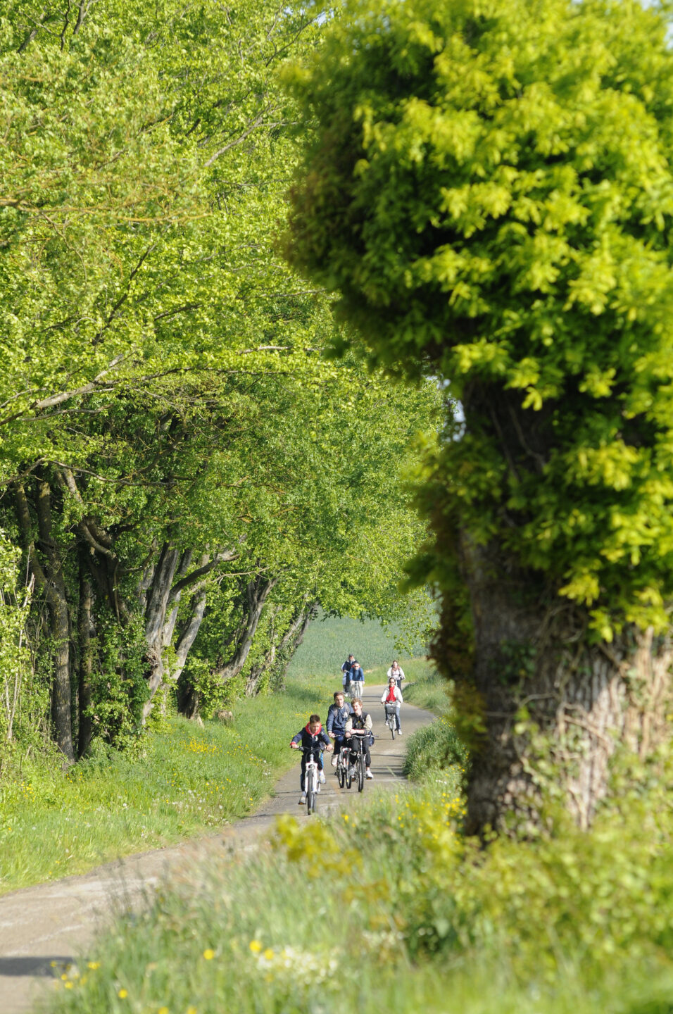 Sur les terres de Guillaume Gouet n°15 La Bazoche-Gouet Centre-Val de Loire Sur les terres de Guillaume Gouet n°15 La Bazoche-Gouet Centre-Val de Loire