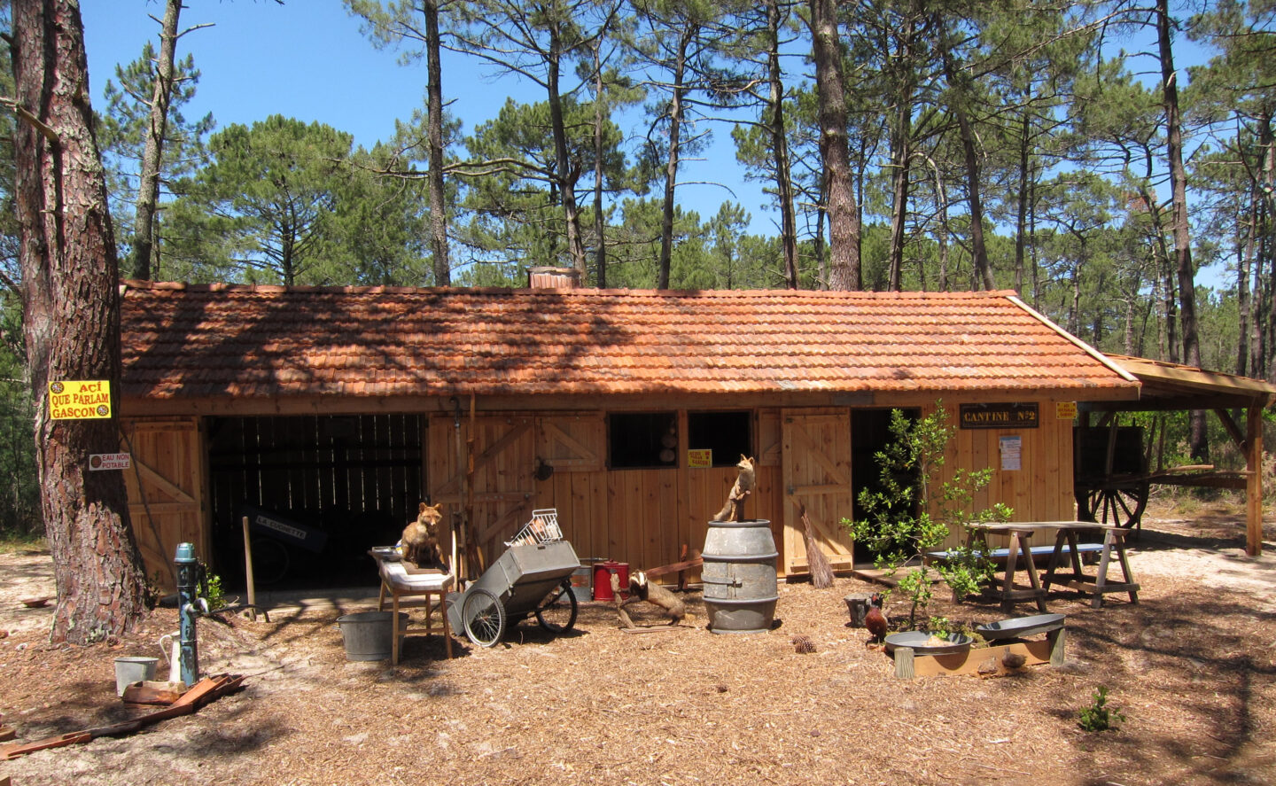 Circuit rando de Cugnes Biscarrosse Nouvelle-Aquitaine Circuit rando de Cugnes Biscarrosse Nouvelle-Aquitaine