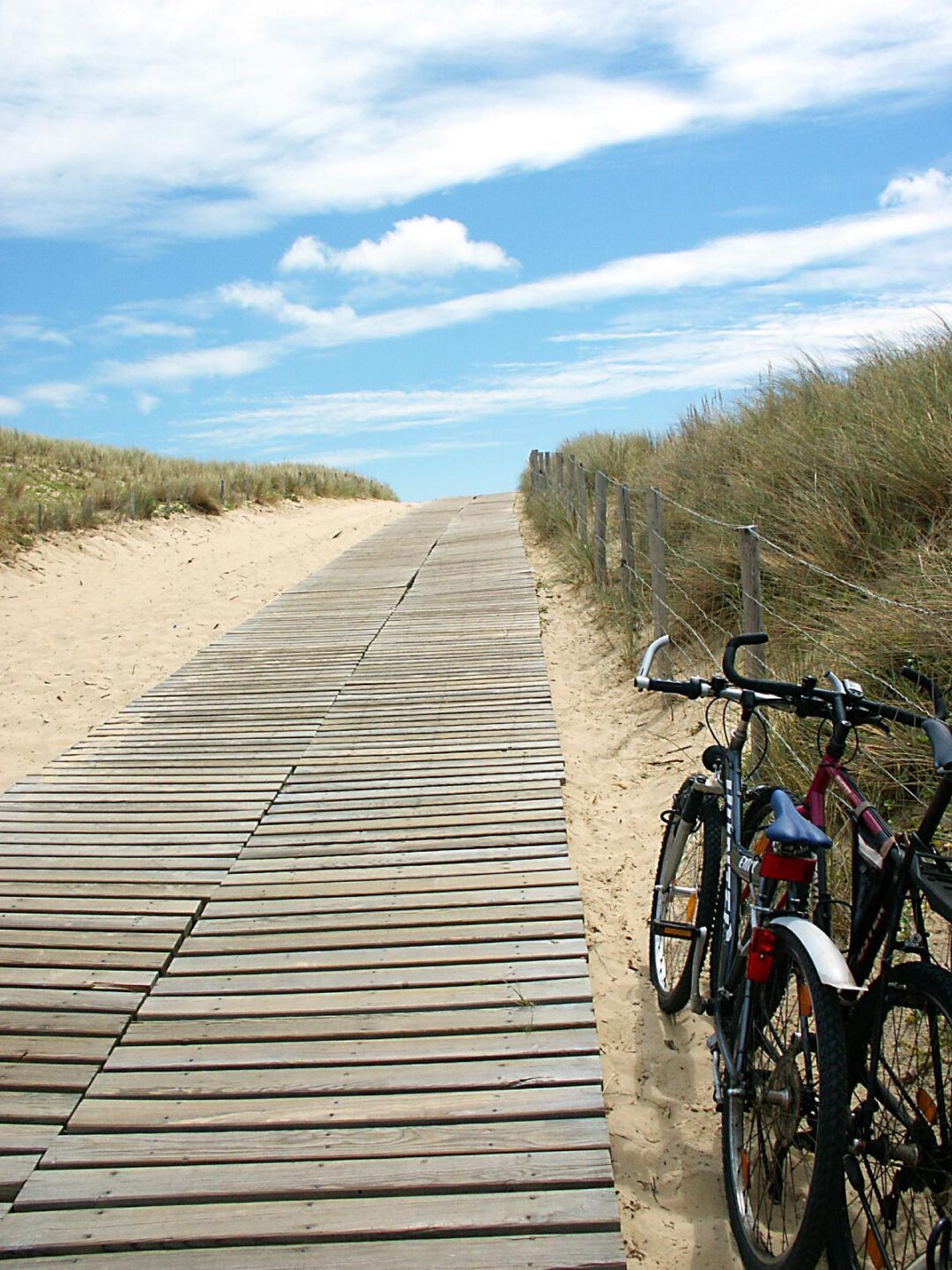 Circuit cyclotouristique à Lège-Cap Ferret (Piraillan