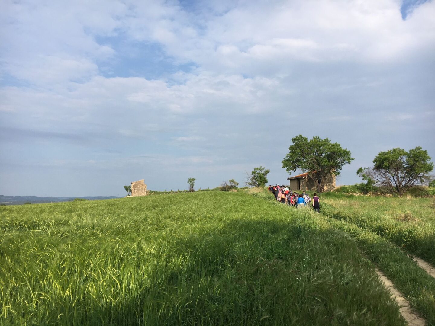 OENORANDO® LES GRANJOTS Murviel-lès-Béziers Occitanie OENORANDO® LES GRANJOTS Murviel-lès-Béziers Occitanie