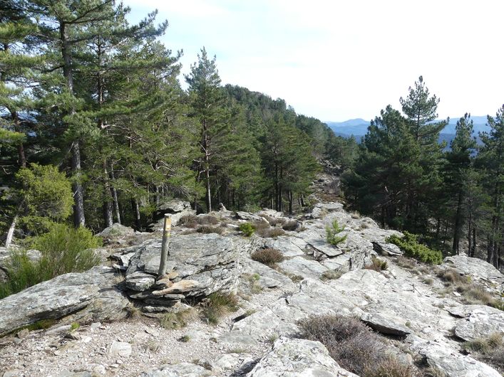 Roc de Galta Saint-Germain-de-Calberte Occitanie Roc de Galta Saint-Germain-de-Calberte Occitanie