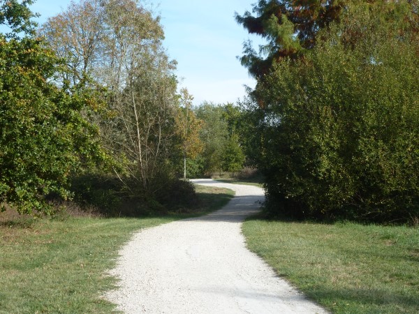 Balade à roulettes Le Bois de Bordeaux 2 IMPRATICABLE Bordeaux Nouvelle-Aquitaine