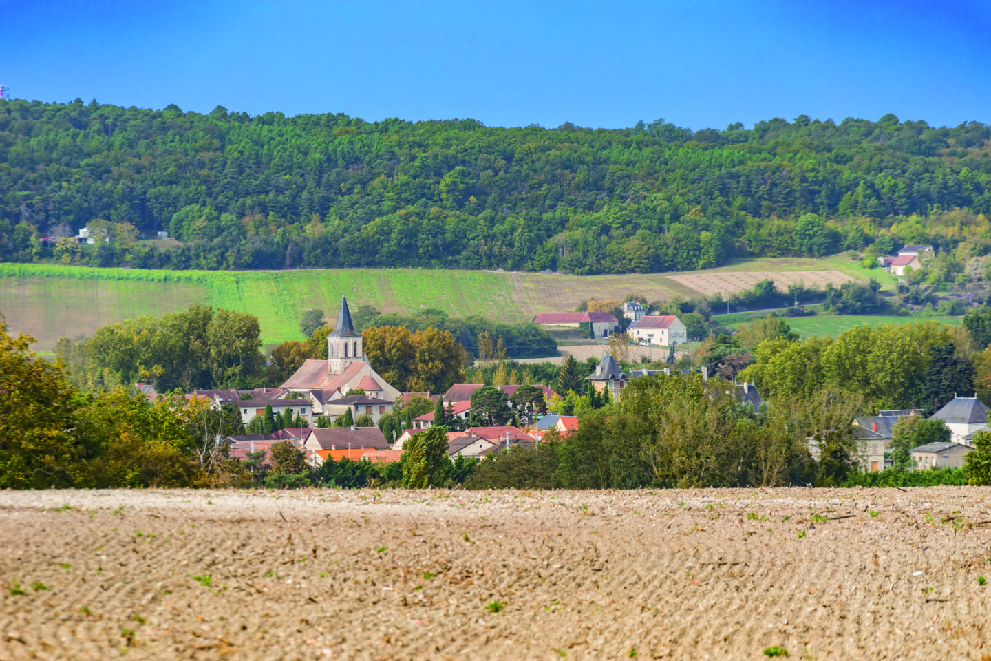 Chemin du Lac aux Niallières Circuit n°62 Ingrandes Nouvelle-Aquitaine
