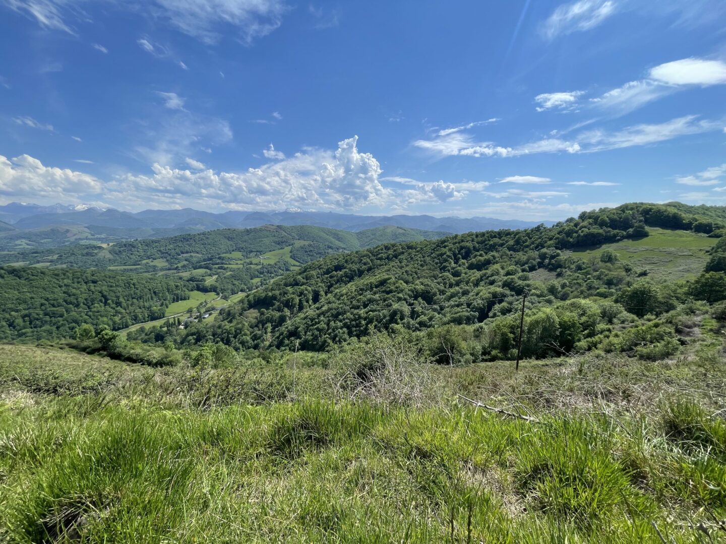 N°92 Le Cambeillou Esquiule Nouvelle-Aquitaine