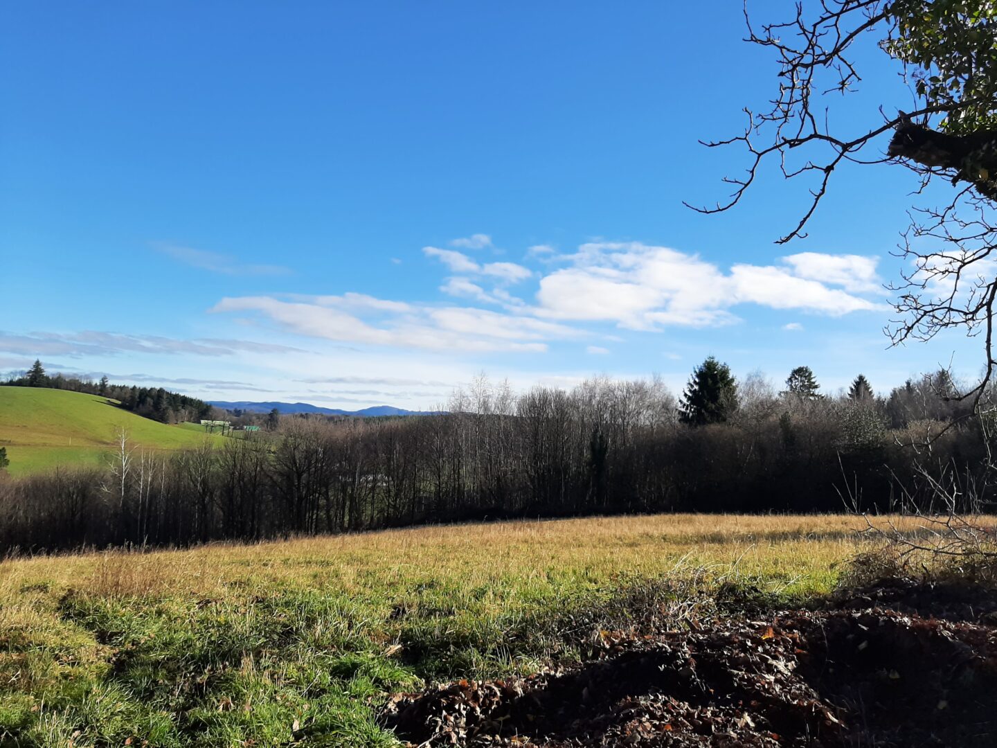 Par Monts et par Vaux Meilhards Nouvelle-Aquitaine