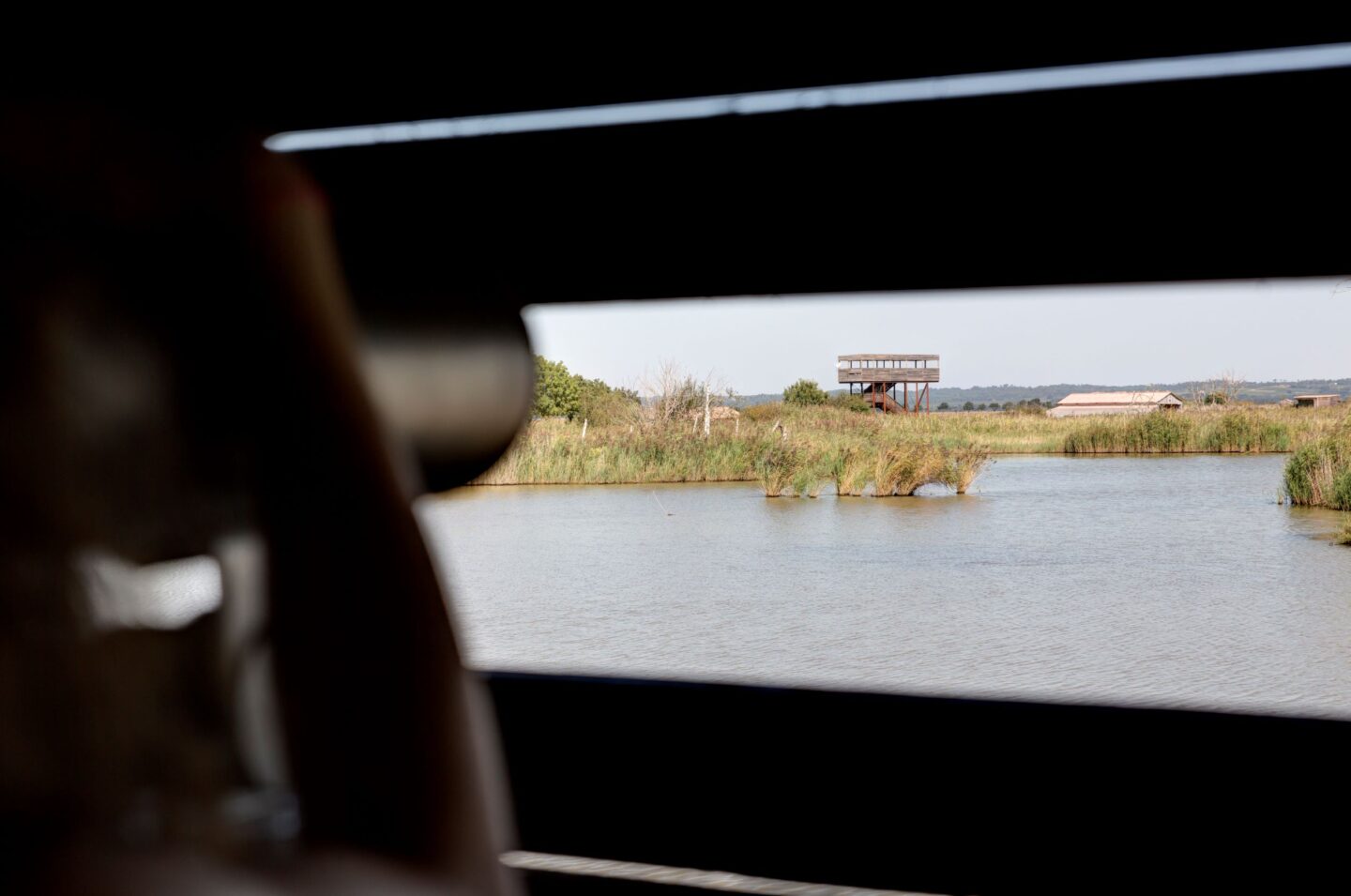 Boucle à vélo Blaye-Terres d’oiseaux Blaye Nouvelle-Aquitaine Boucle à vélo Blaye-Terres d'oiseaux Blaye Nouvelle-Aquitaine