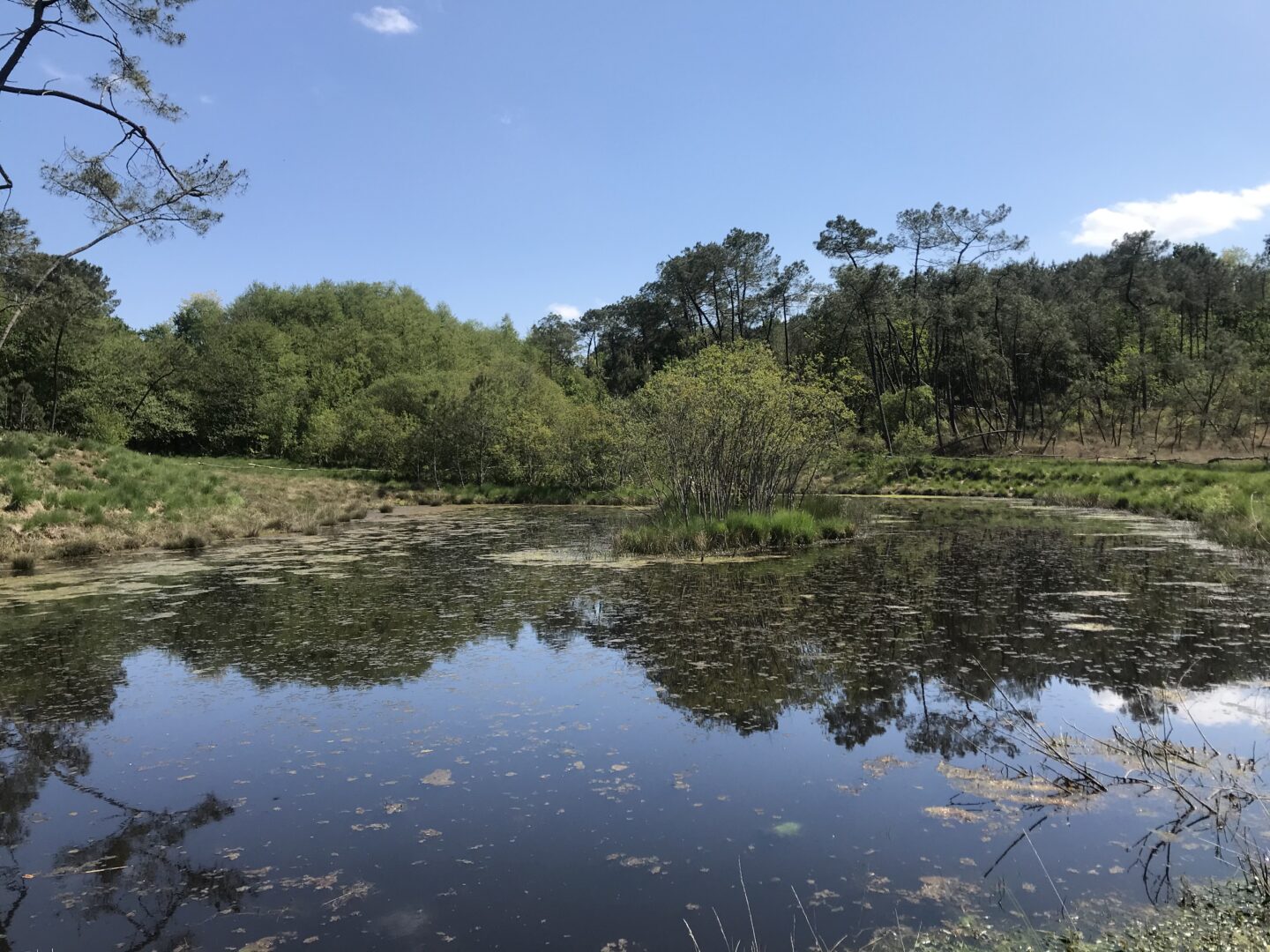 Parcours découverte à Misson Misson Nouvelle-Aquitaine
