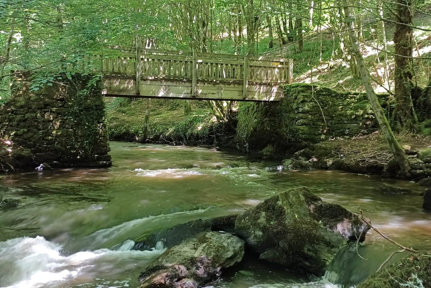Sentier du Bois Jeansac Glanges Nouvelle-Aquitaine Sentier du Bois Jeansac Glanges Nouvelle-Aquitaine