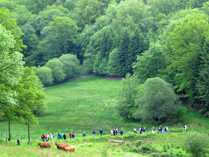 Base VTT FFC des Monts du Limousin Circuit 15 L’oppidum Jabreilles-les-Bordes Nouvelle-Aquitaine